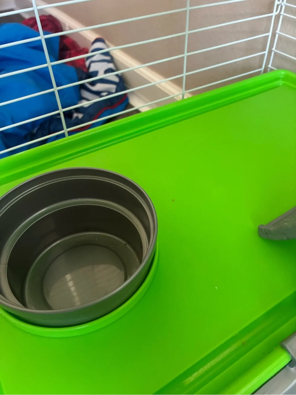 Kaytee Chinchilla or Ferret Starter Habitat - Green